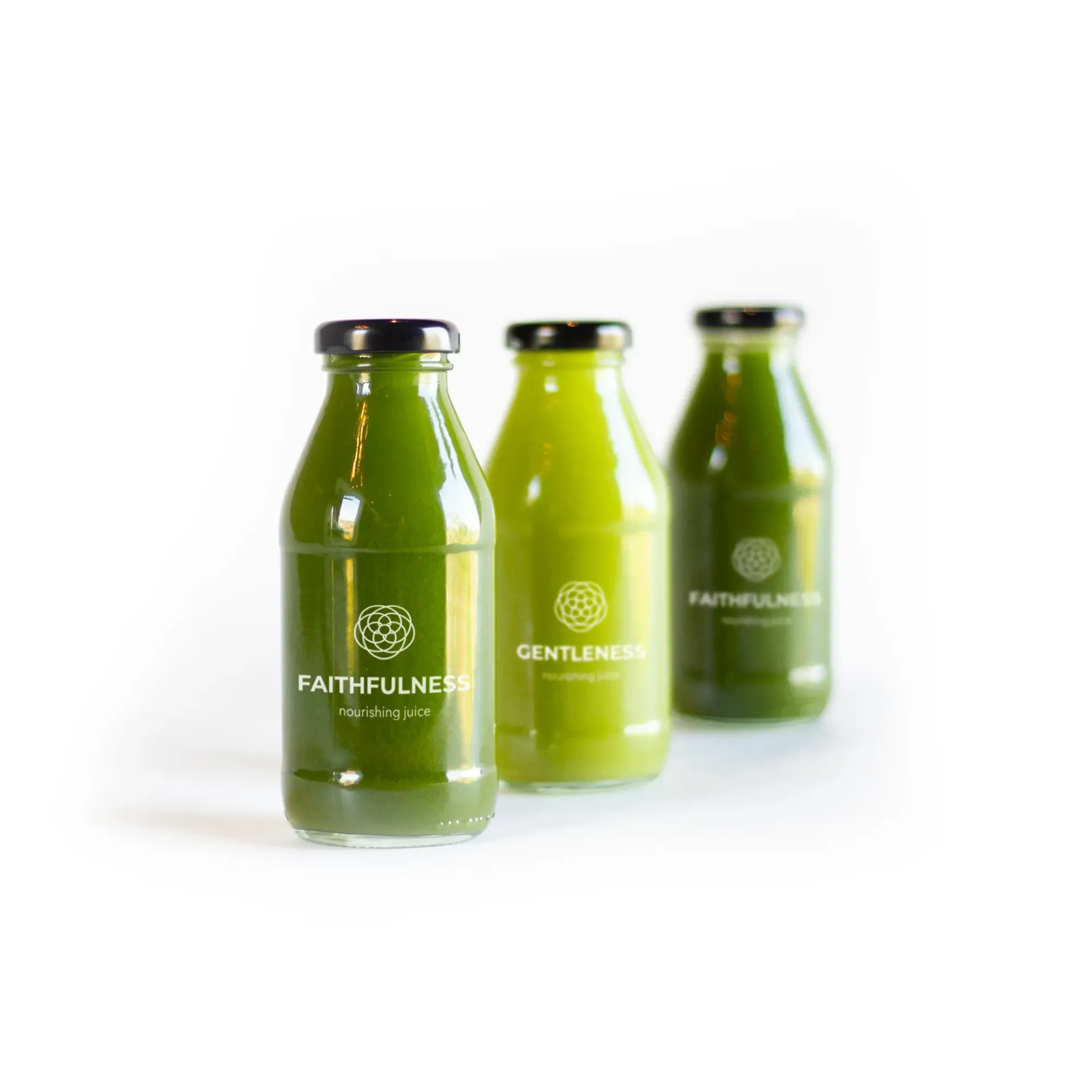 [Menu] Juice Cleanse Program (1 Day Cleanse, Guidance)